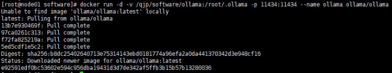 Ollama Docker install result