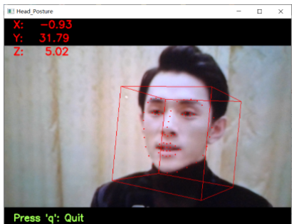 头部姿态估计结果可视化