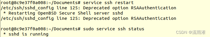 SSH restart in container