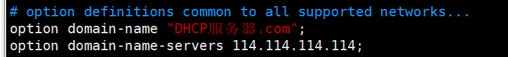 dhpcd.conf 内容片段