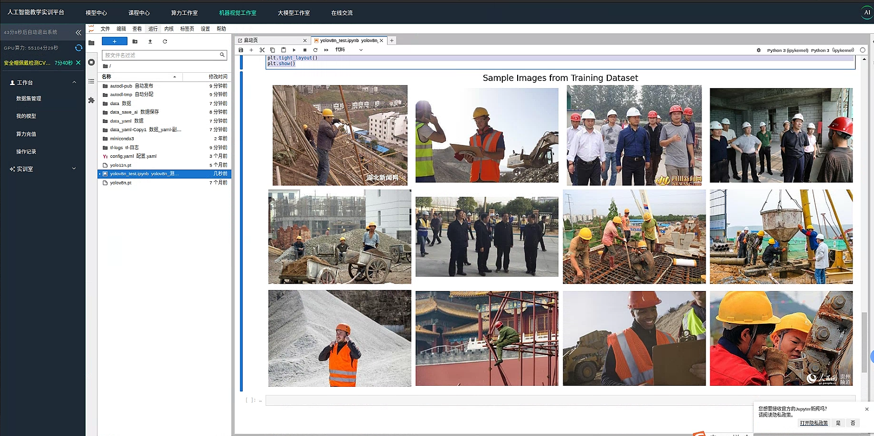 Sample Images from Training Dataset