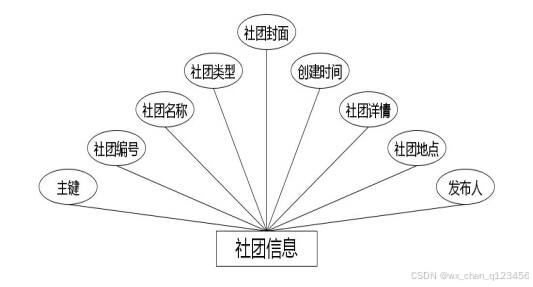 社团信息实体属性图