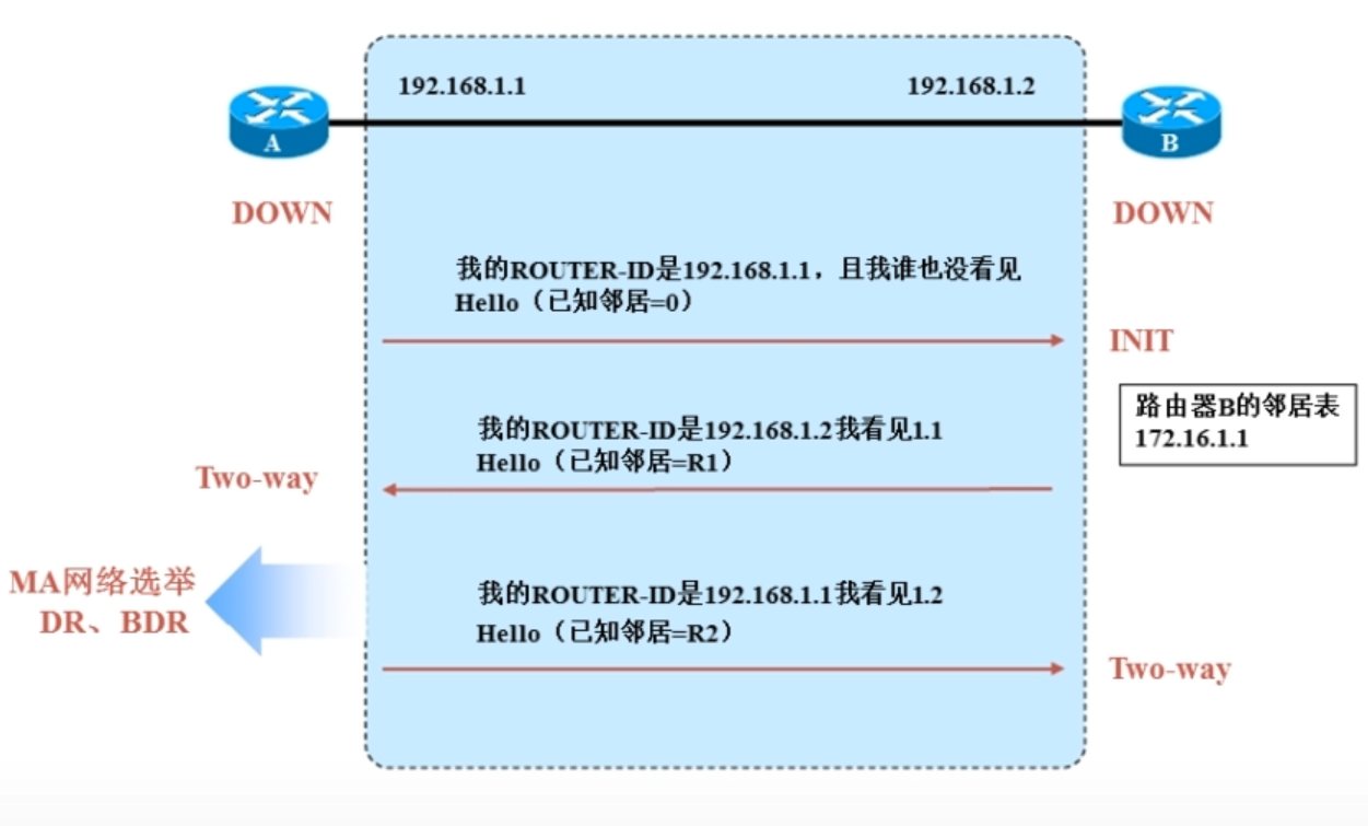 OSPF邻居关系建立流程