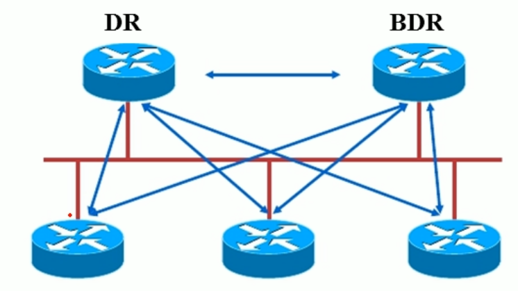 多路访问网络DR/BDR选举