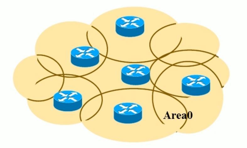 单区域OSPF问题